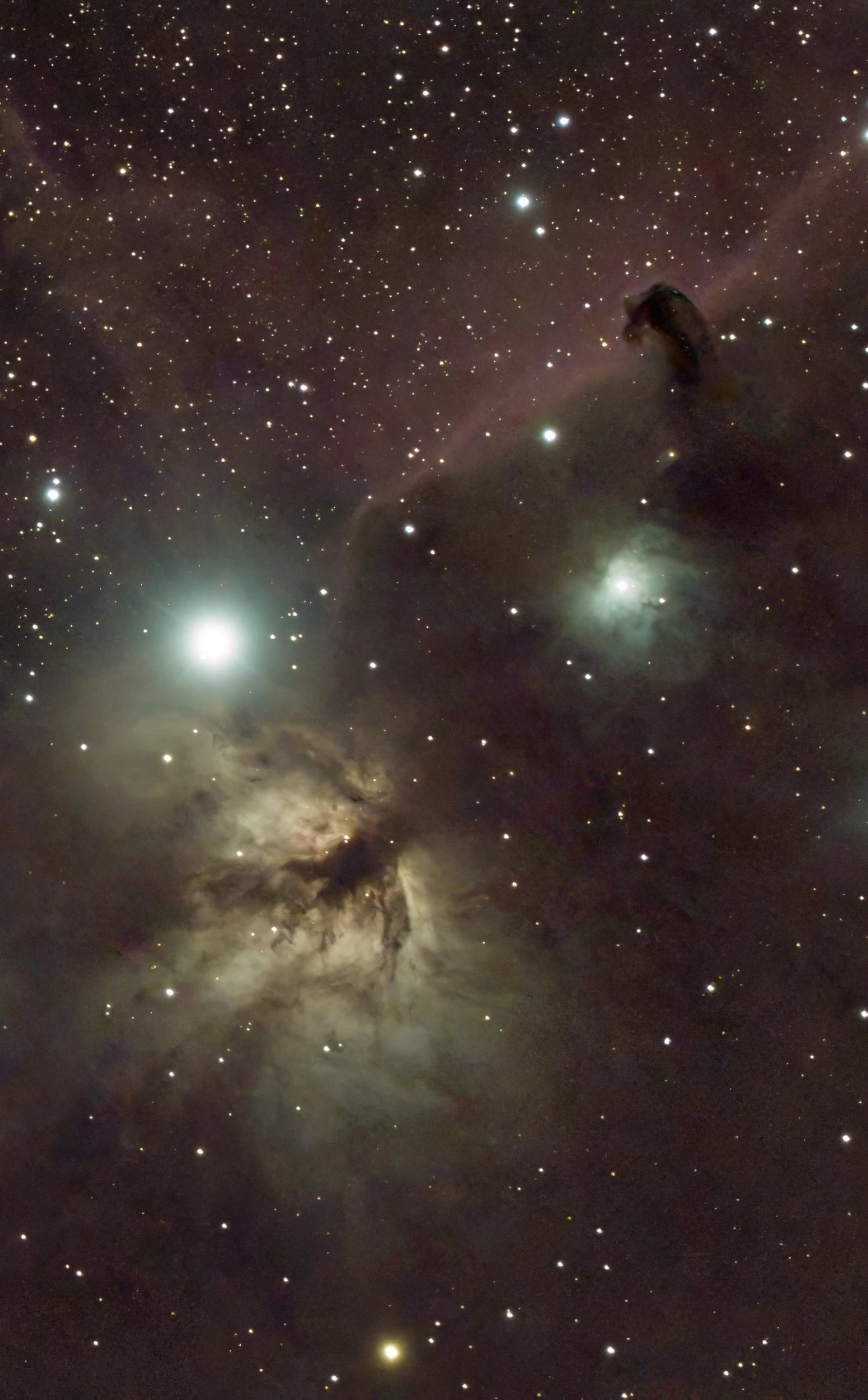 Alnitak and  the Horsehead nebula